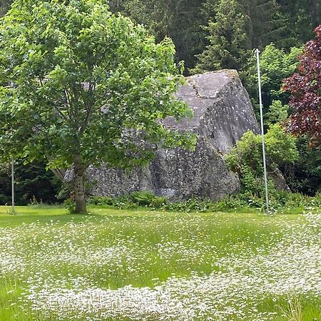 Bed and Breakfast Haus Am Rain Partenen Zewnętrze zdjęcie
