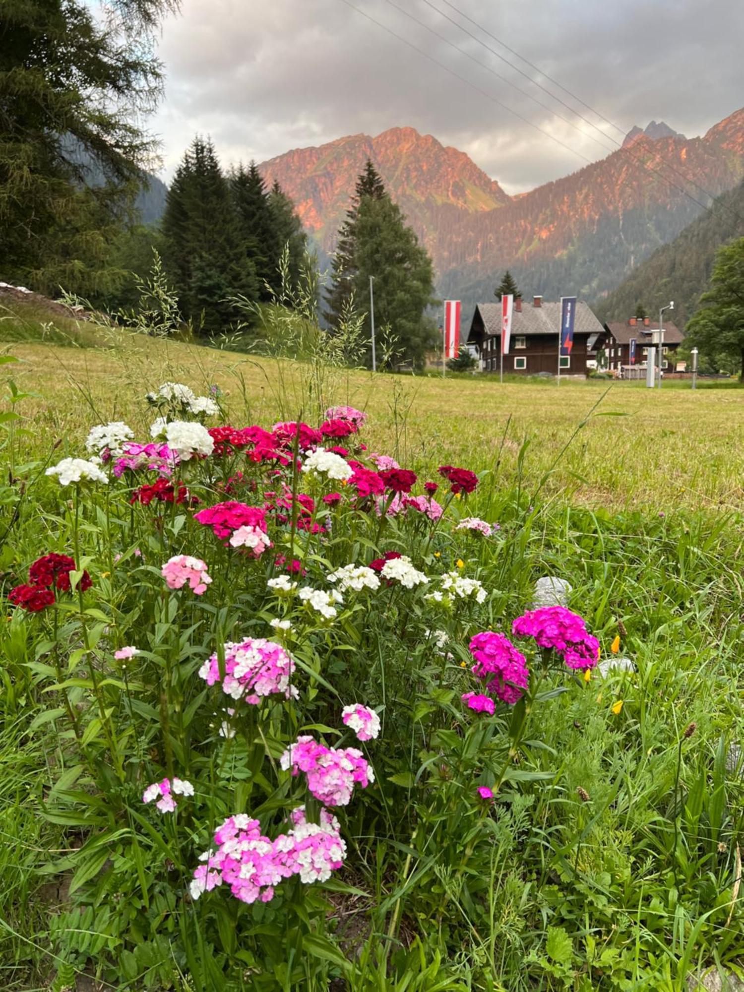 Bed and Breakfast Haus Am Rain Partenen Zewnętrze zdjęcie