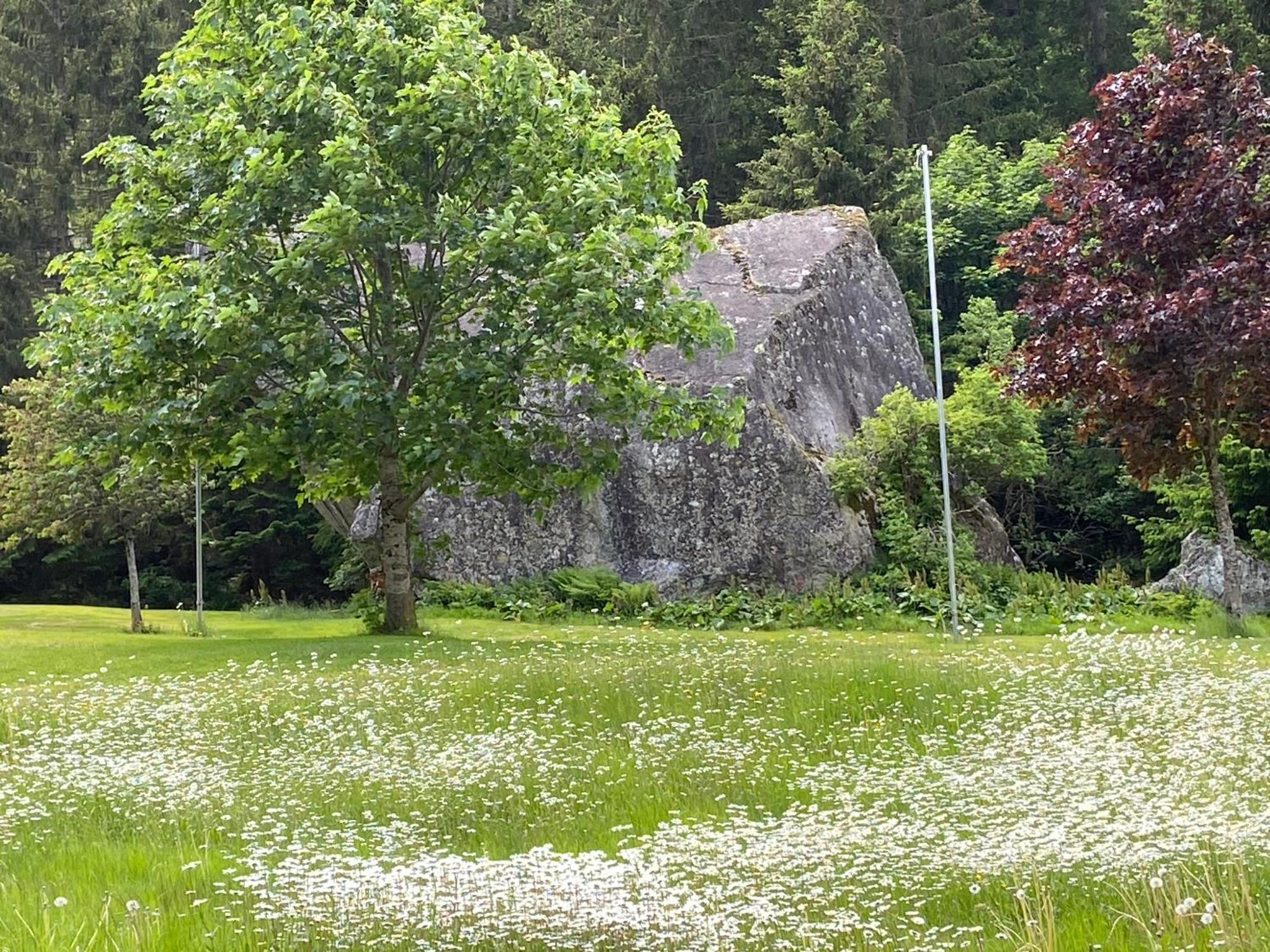 Bed and Breakfast Haus Am Rain Partenen Zewnętrze zdjęcie